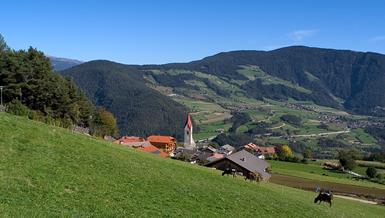 Summer in the mountains