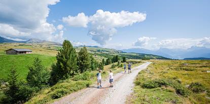 A family on a hike in summer