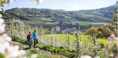 Primavera in Valle Isarco