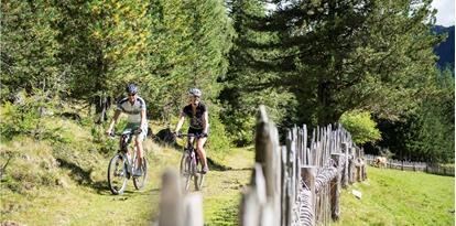 Giro in bici nella natura