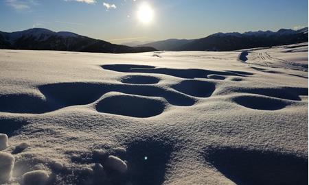 Die Natur erleben