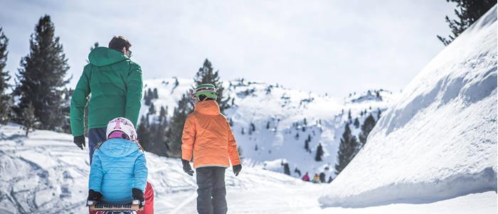 A tobogganing family